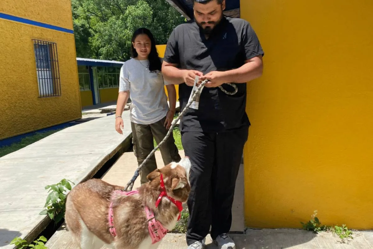 Guardería canina de la UNACH: atención profesional para tu mascota
